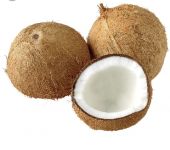 Packaged Coconut