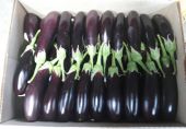 Packaged Egg Plants