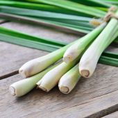 Packaged Lemon Grass