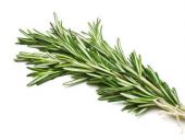 Packaged Rosemary