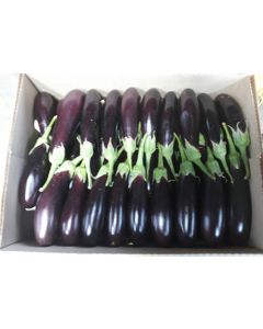 Packaged Egg Plants